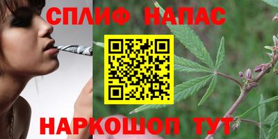 дмт Заводоуковск