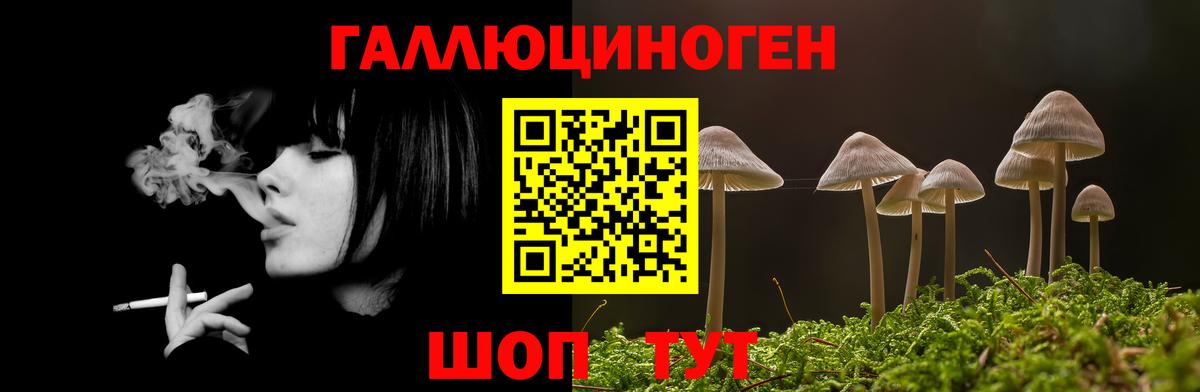 Галлюциногенные грибы мицелий Новоалександровск