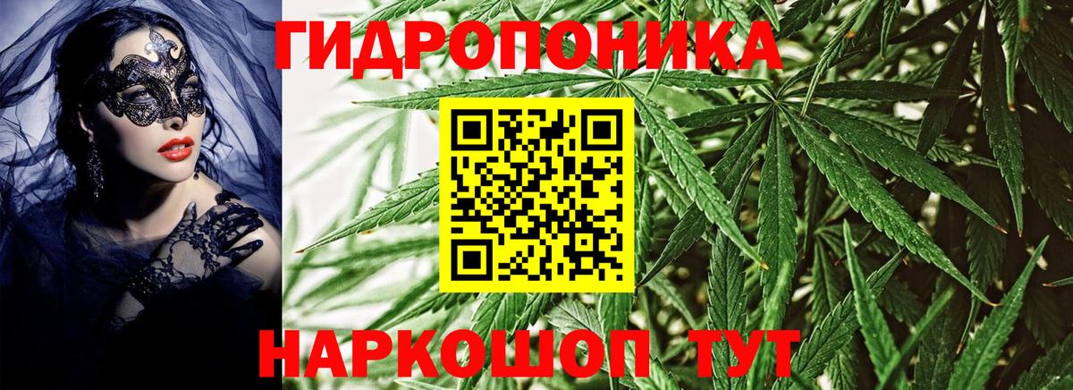 Канабис конопля Новоалександровск